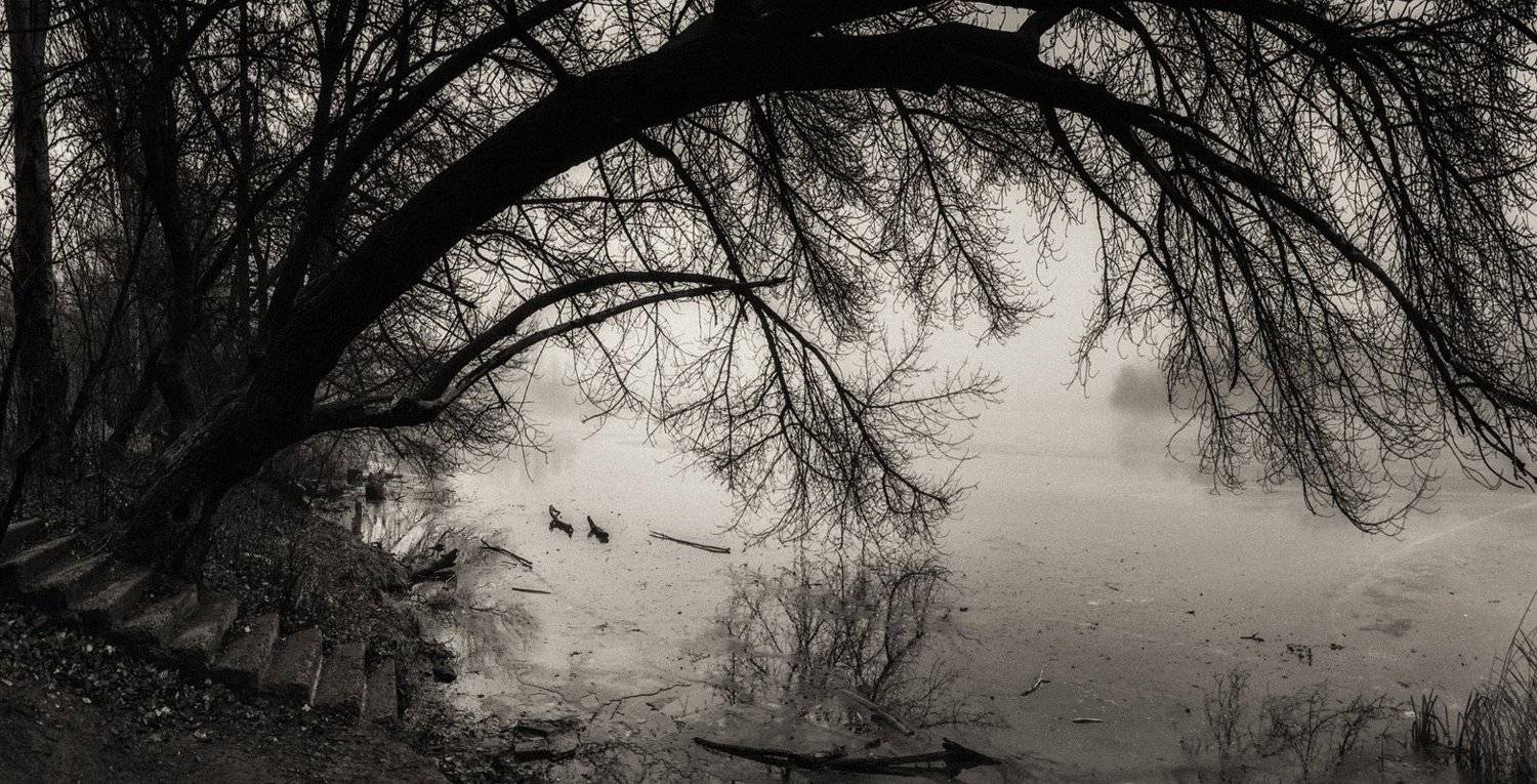 , Игорь Мелекесцев