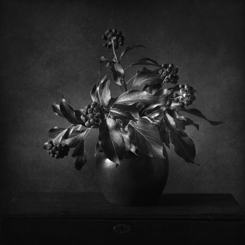 w-b фото превью