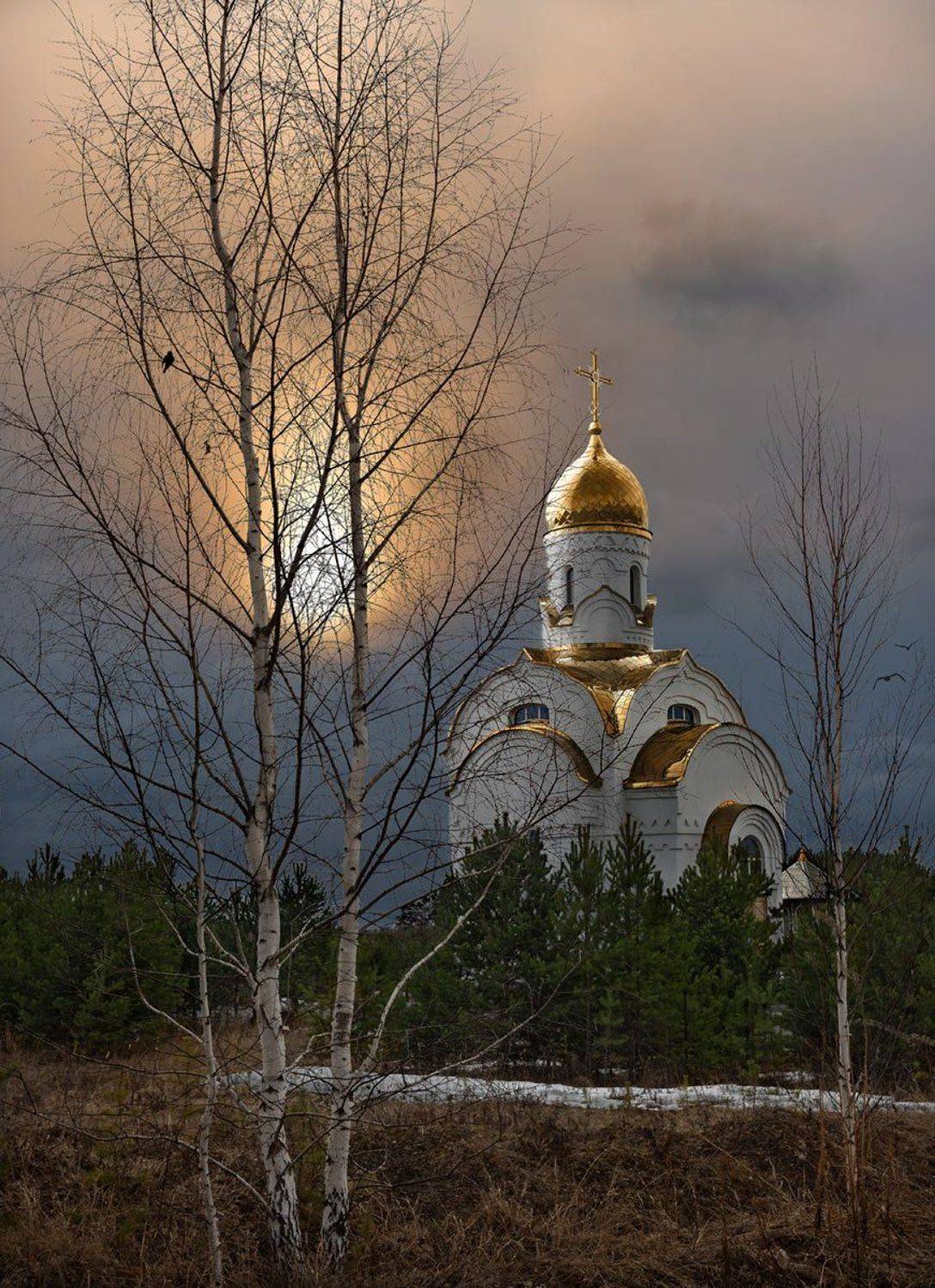 , Александр Поляков