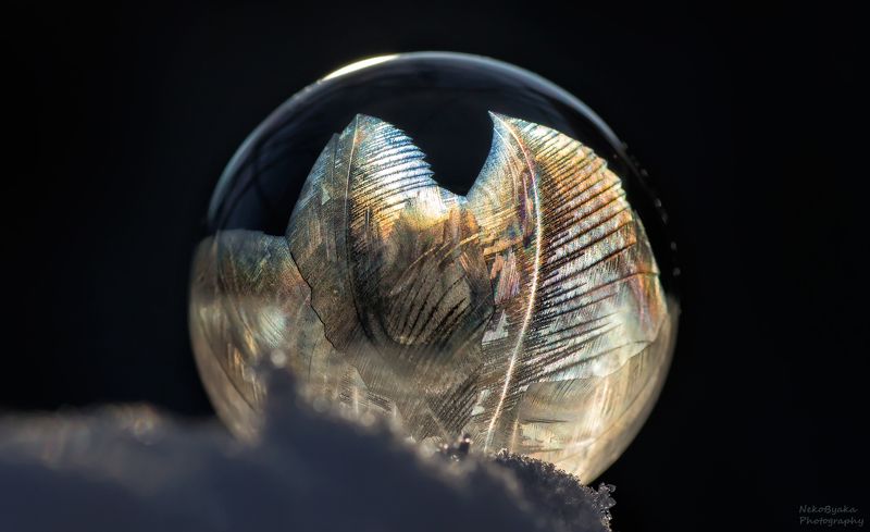 макро, природа, мыльные пузыри, лед, зима, снег, macro, nature, soap bubbles, ice, winter, snow, frozzenbubbles Ледяные папоротники фото превью