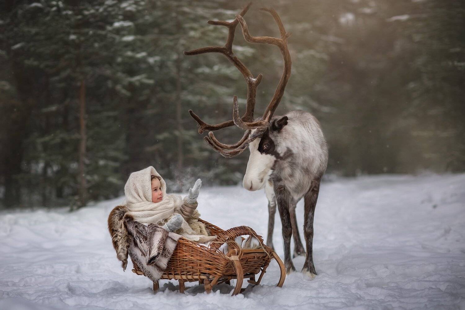 , Юлия Бусыгина