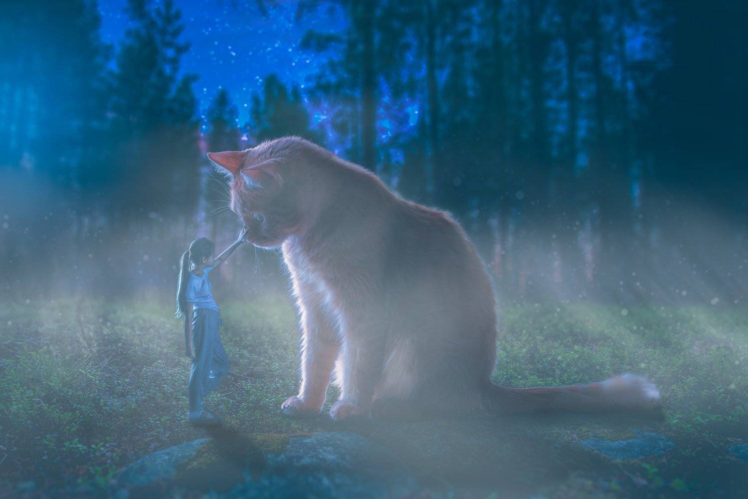 , Николай Сизиков