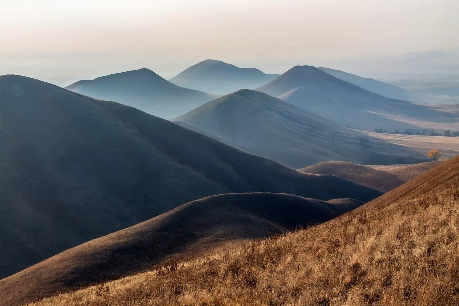 , Леонид Максименко