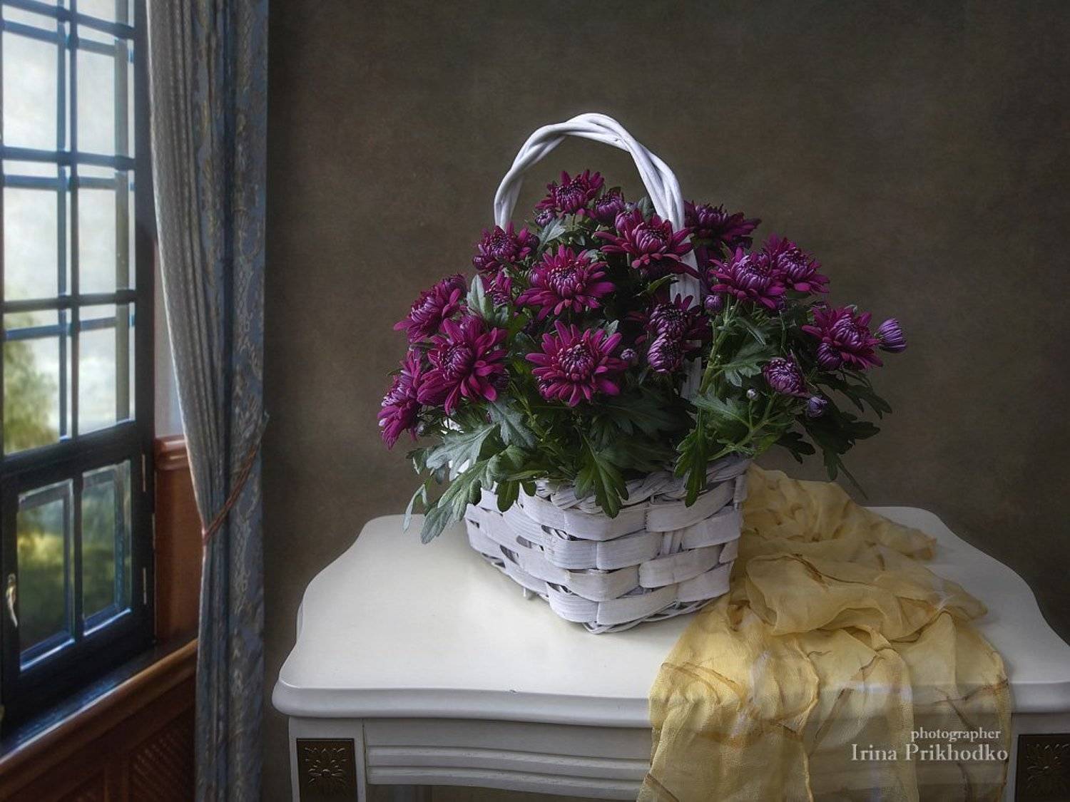 натюрморт, цветы, букеты, художественное фото, хризантемы, Ирина Приходько