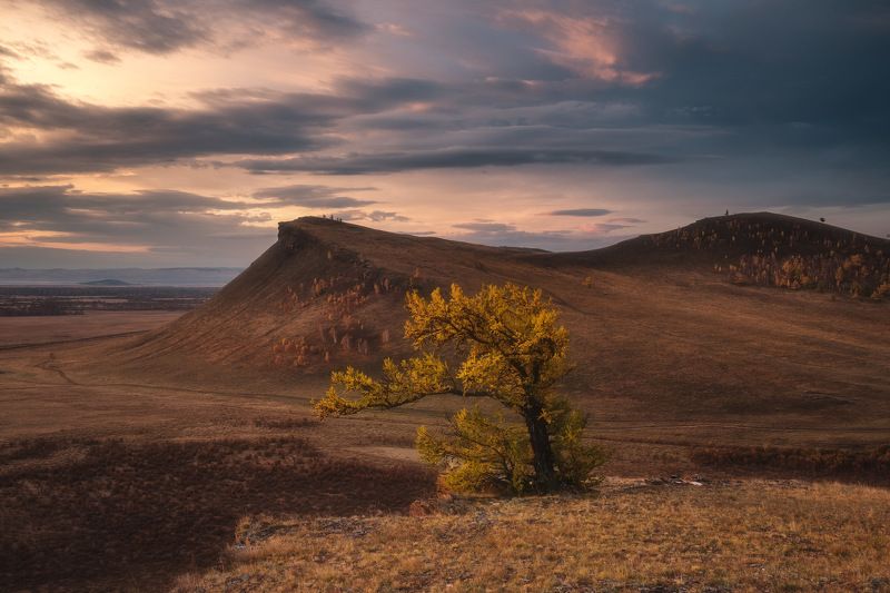 россия, хакасия, сундуки, степь, горы, лесостепь, рассвет, природа, пейзаж, восход солнца, осень, лиственница Сундуки фото превью