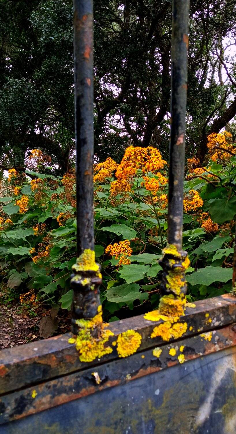 Street/Reportage, Landscapes, Carlos Machado