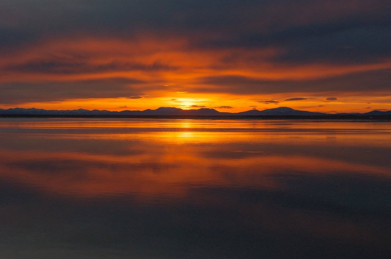 , Андрей Загребельный