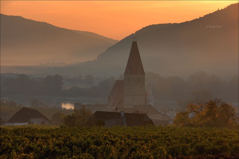 австрия,weißenkirchen,осень,белая церковь,wachau,österreich,виноградники,morning,colors,fog Weißenkirchen фото превью