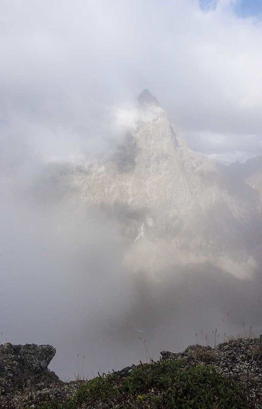 словно призрак из тумана ... фото превью