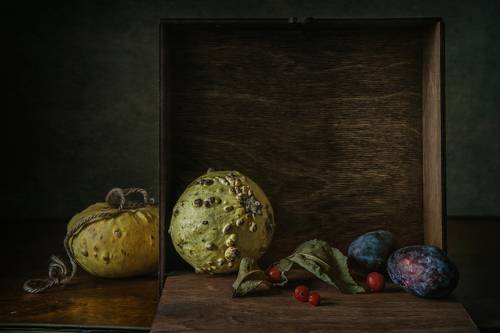 Тыковки и сливы