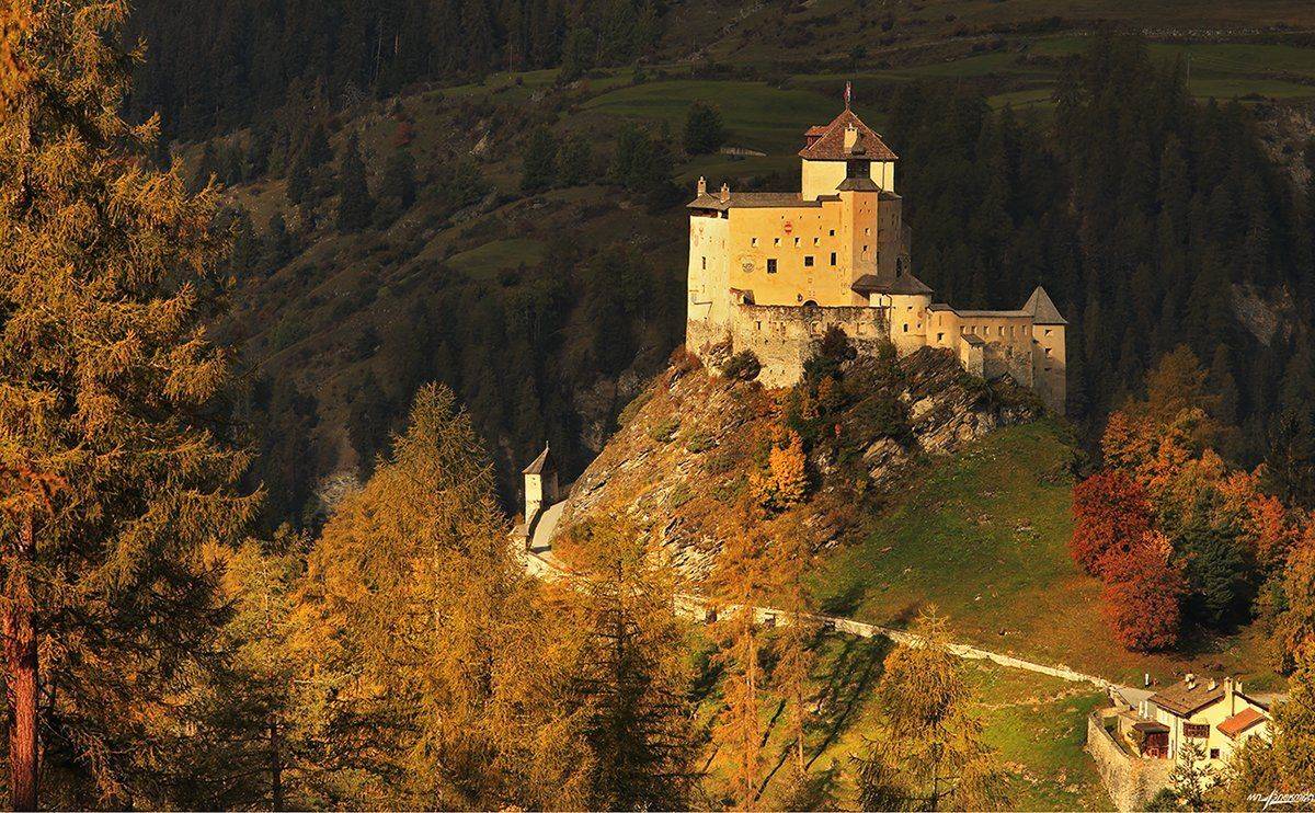 swiss, Матвеев Николай