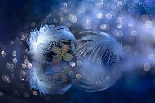When silence will speak...