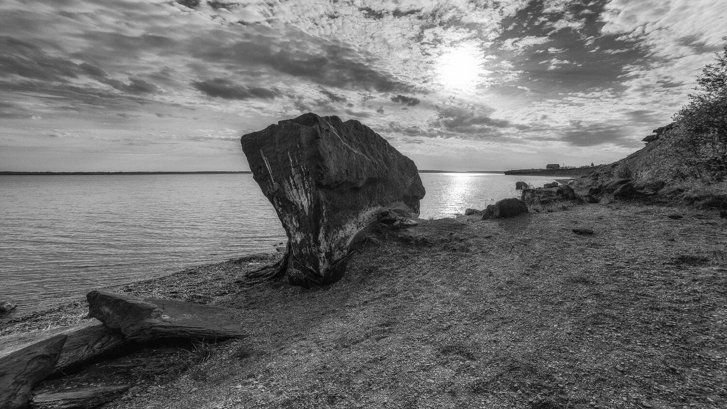 , Алексей Никитин