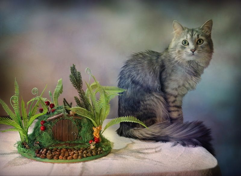 животные, кошки, композиция, топиарий, сувенир Про котиков и \