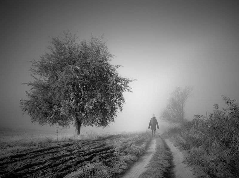 walk among the fields ... фото превью