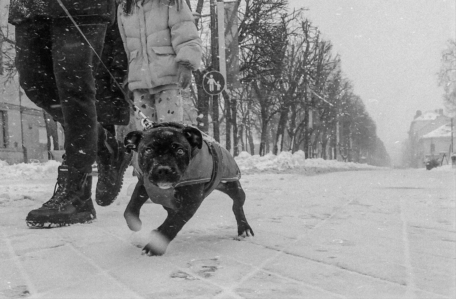 #iphone, Artur Politov