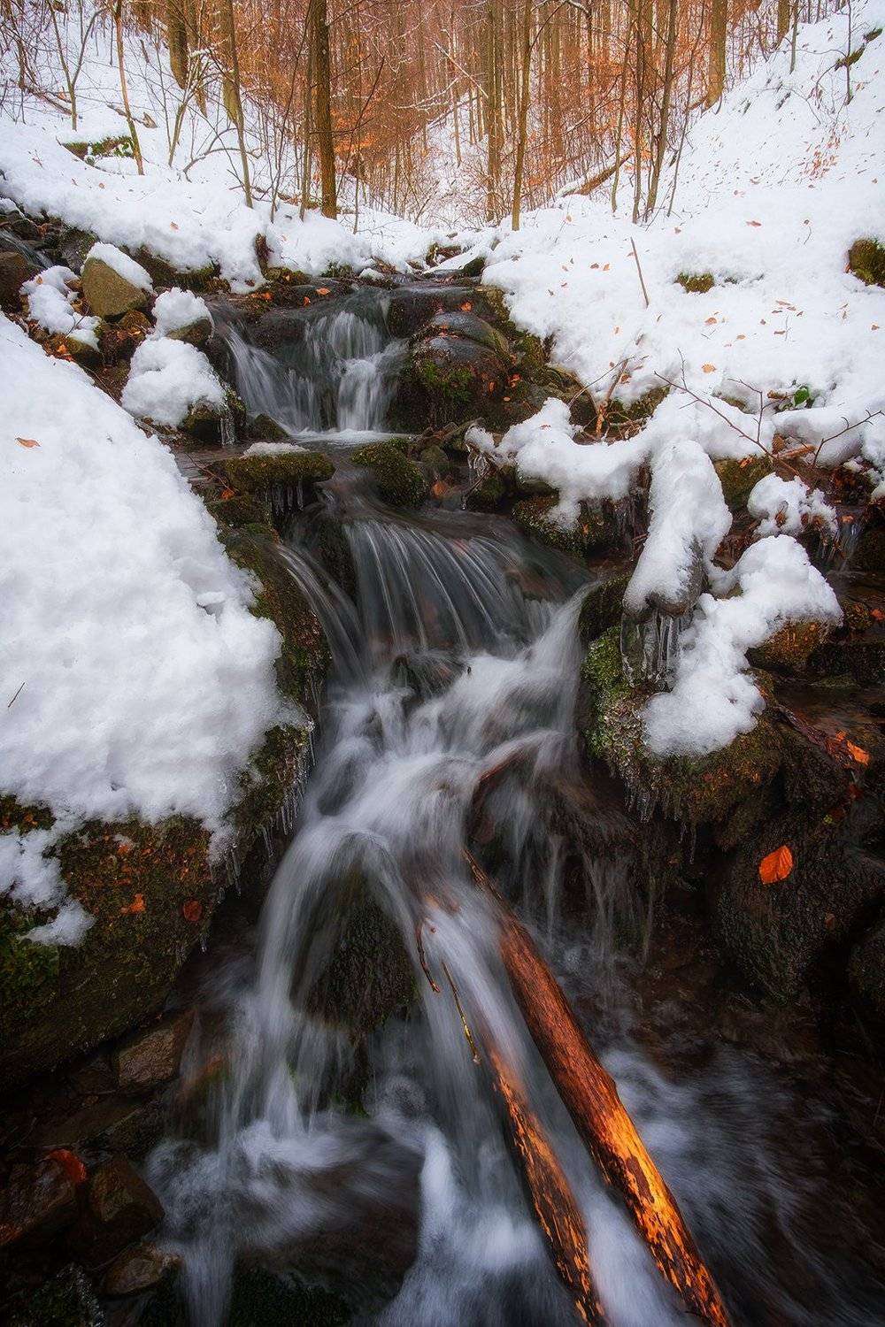 пейзаж, зима, лес, ручей, водопад, вода, карпаты, landscape, winter, forest, stream, waterwall, water, karpaty, Stanislav Yendrek