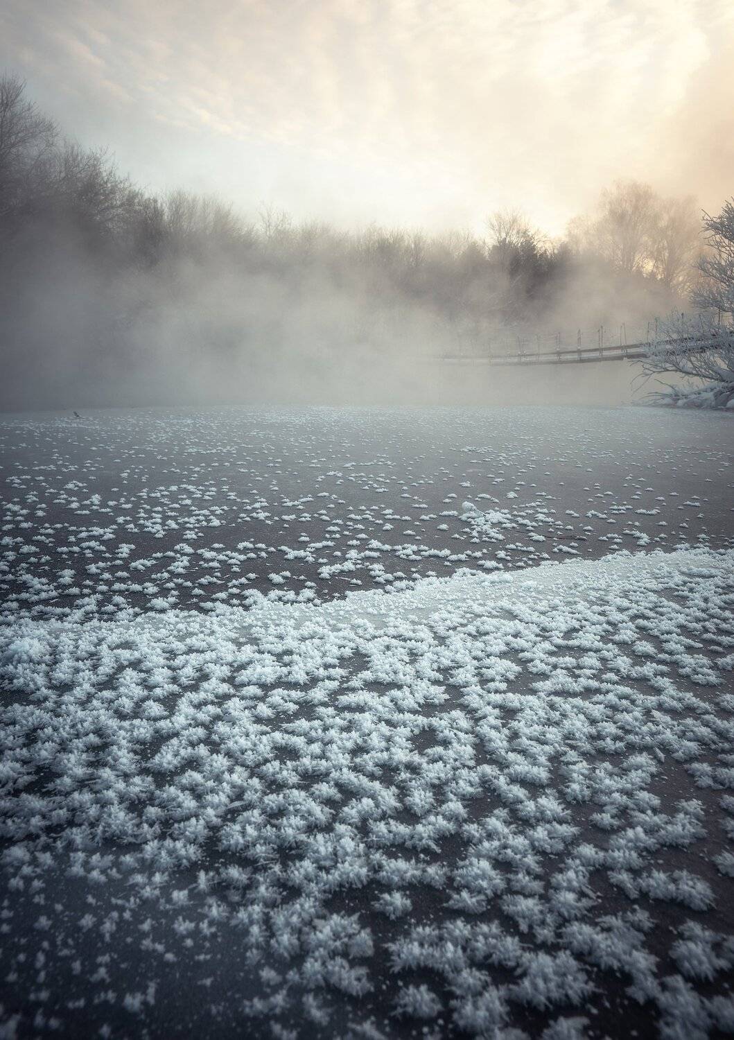 , Алексей Козаченко