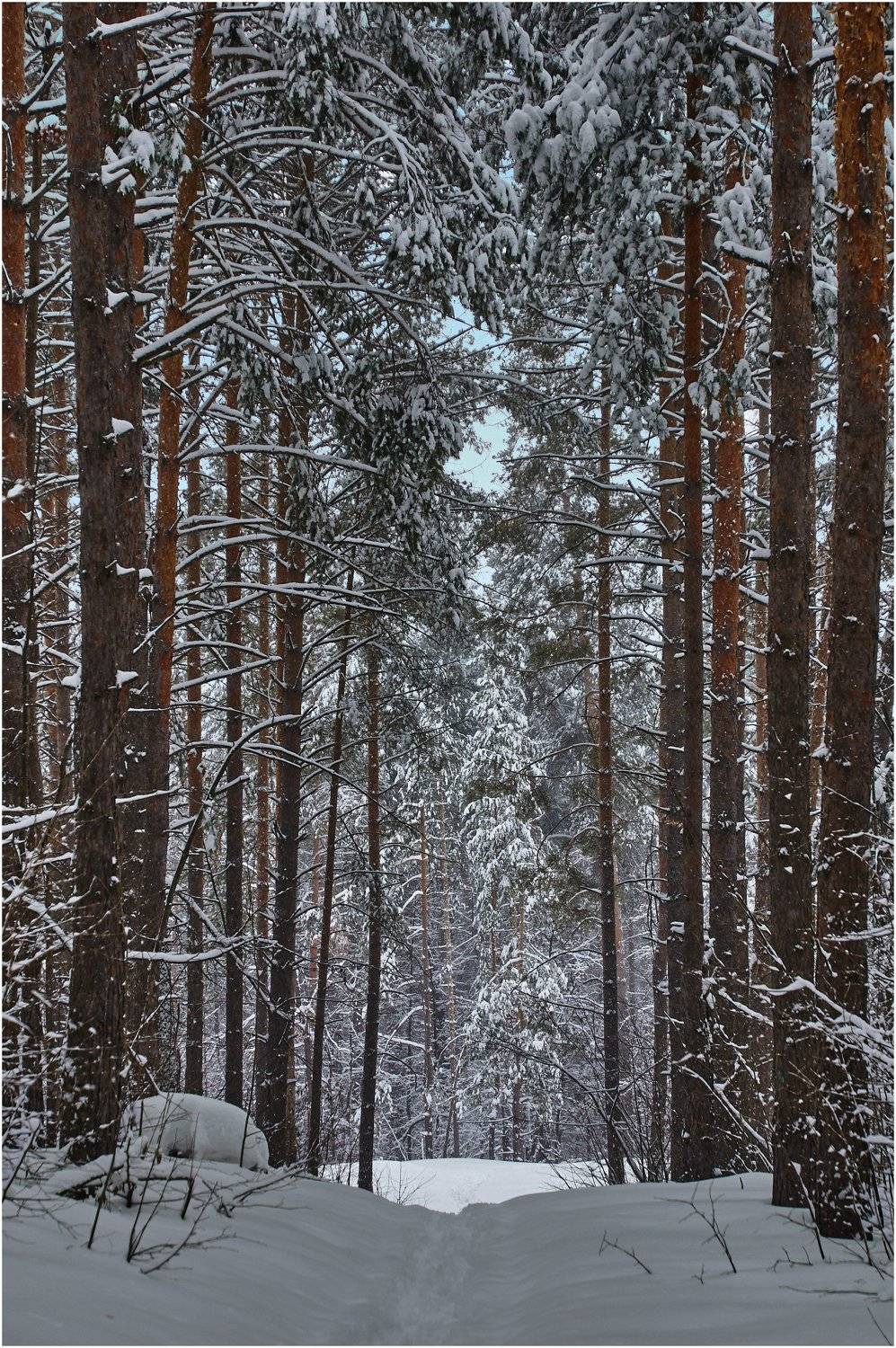 , Владимир Краснов