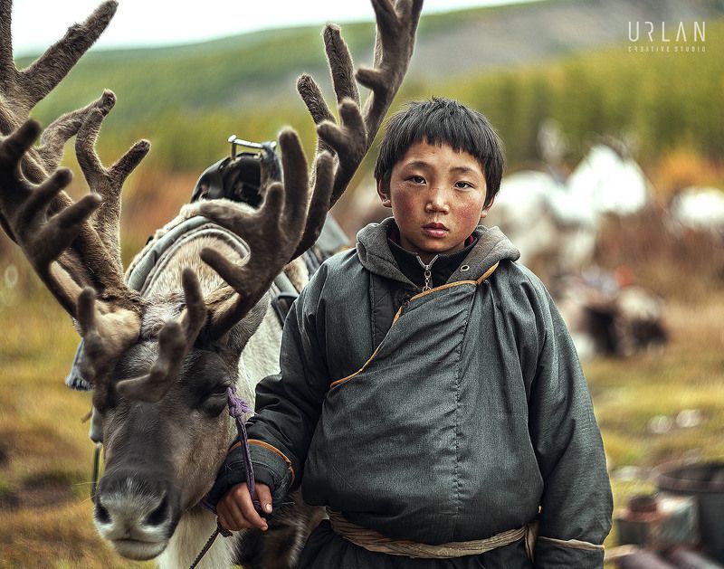 mongolia mongolian deer reindeer Tsaatan фото превью