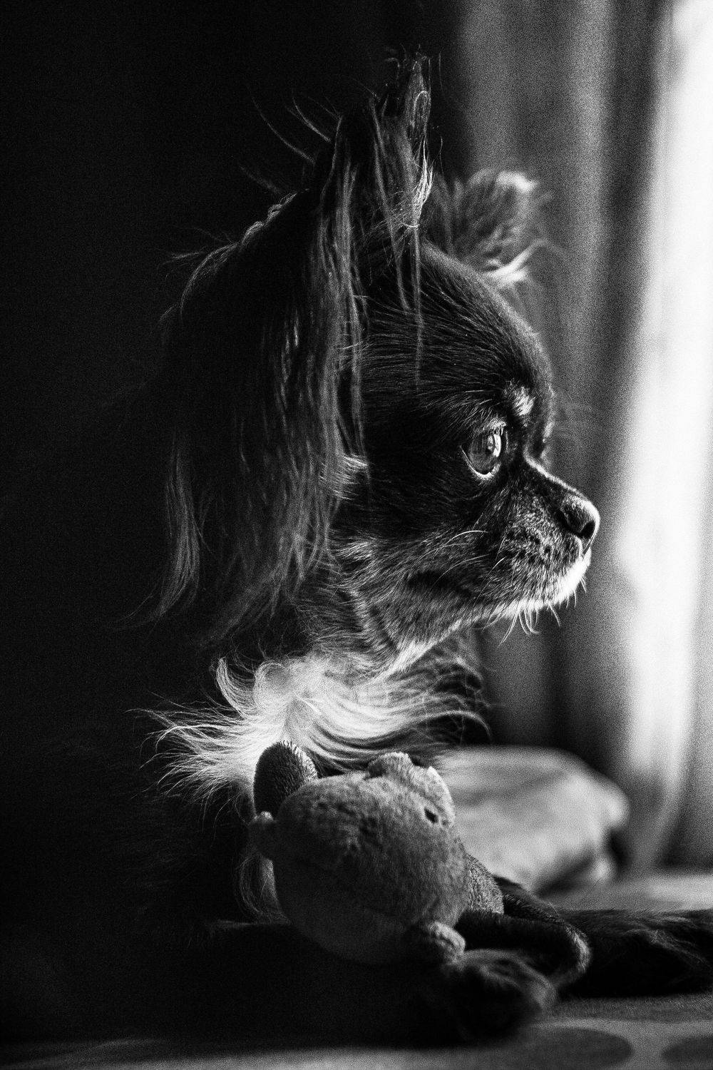 , Лариса Лофицкая