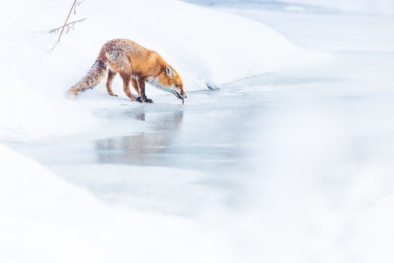 I stuck фото превью