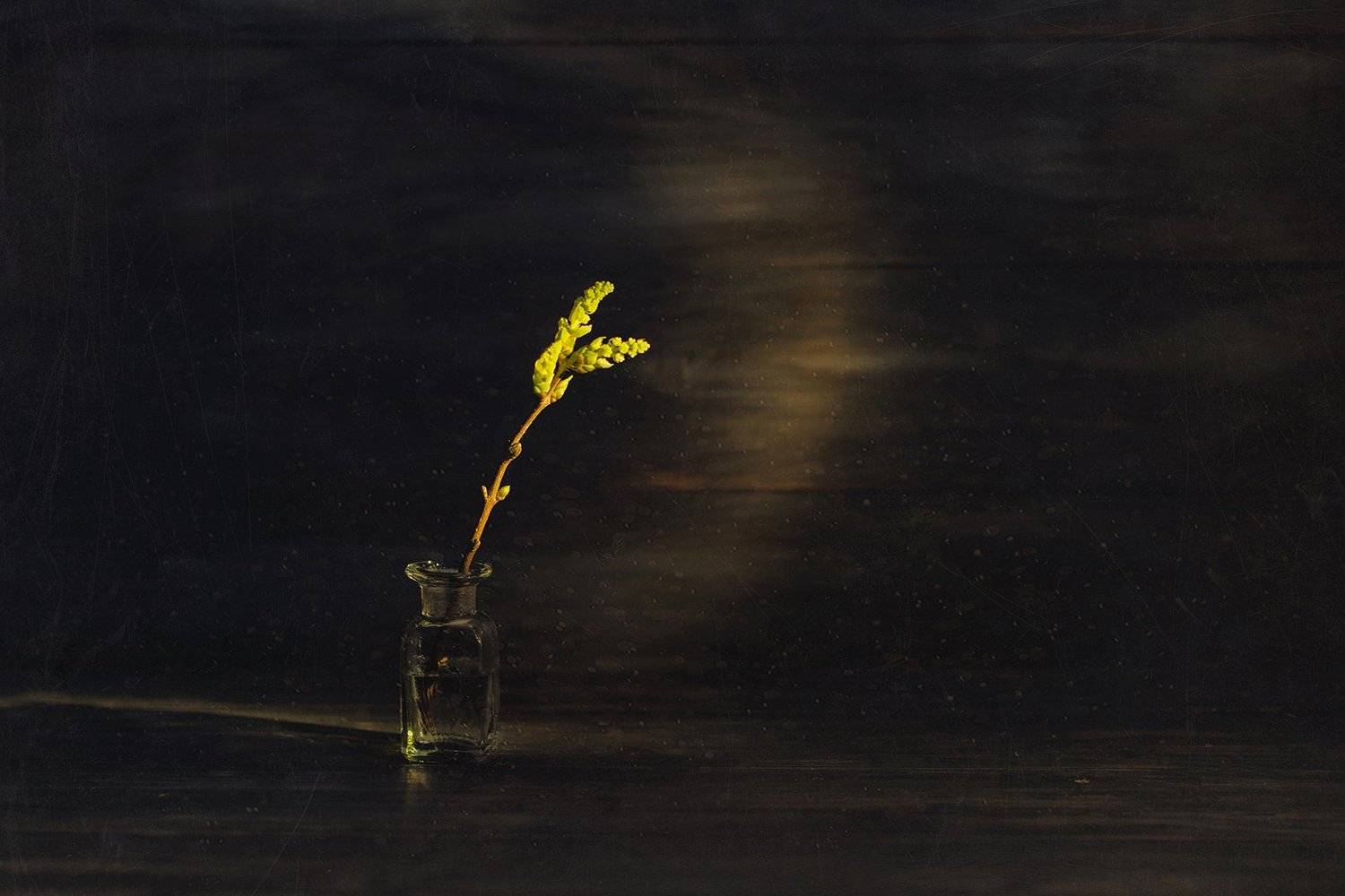 , MVO (Марк Орлов)