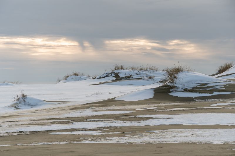 Зима в дюнах фото превью