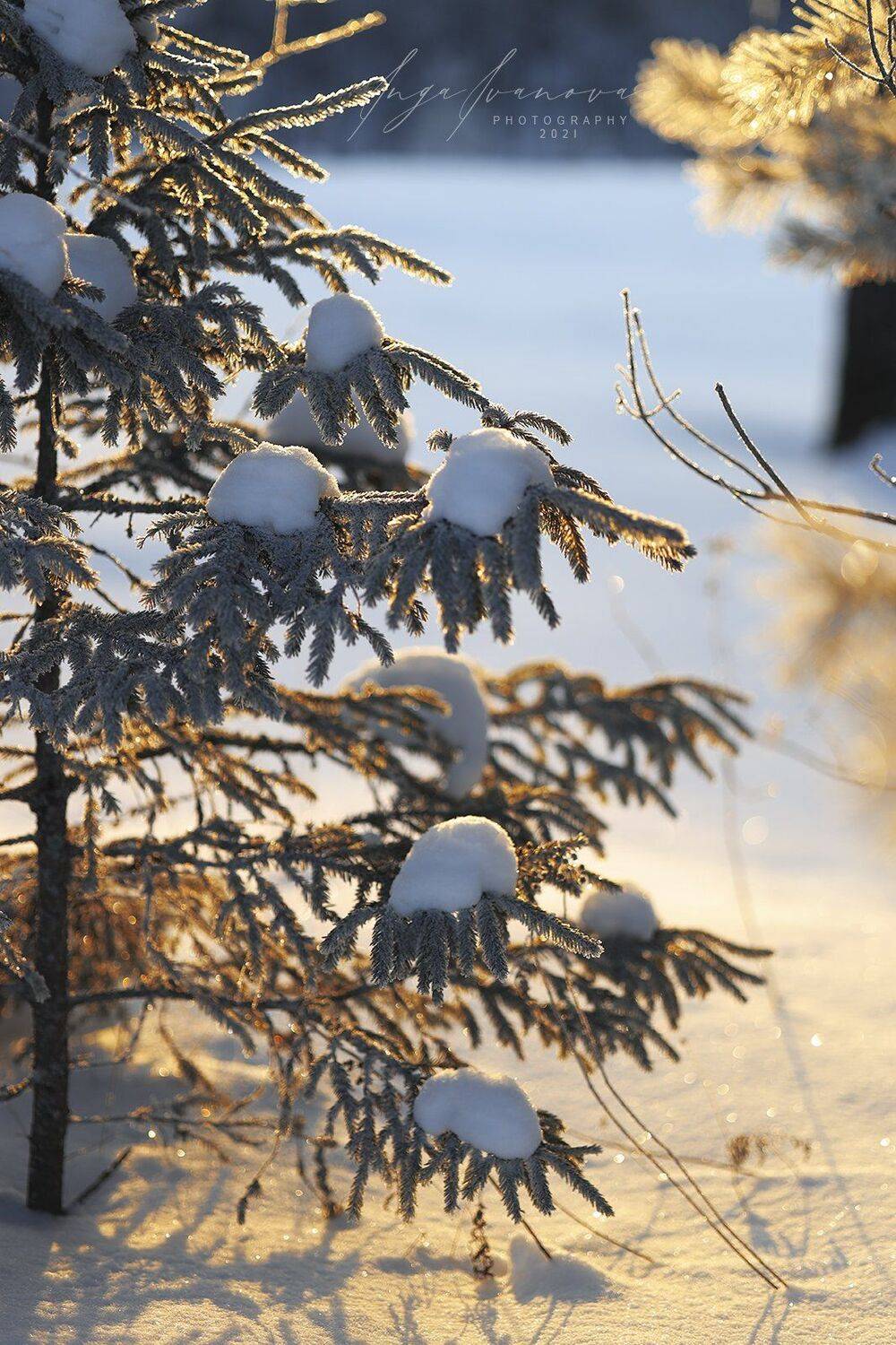 , Инга Иванова