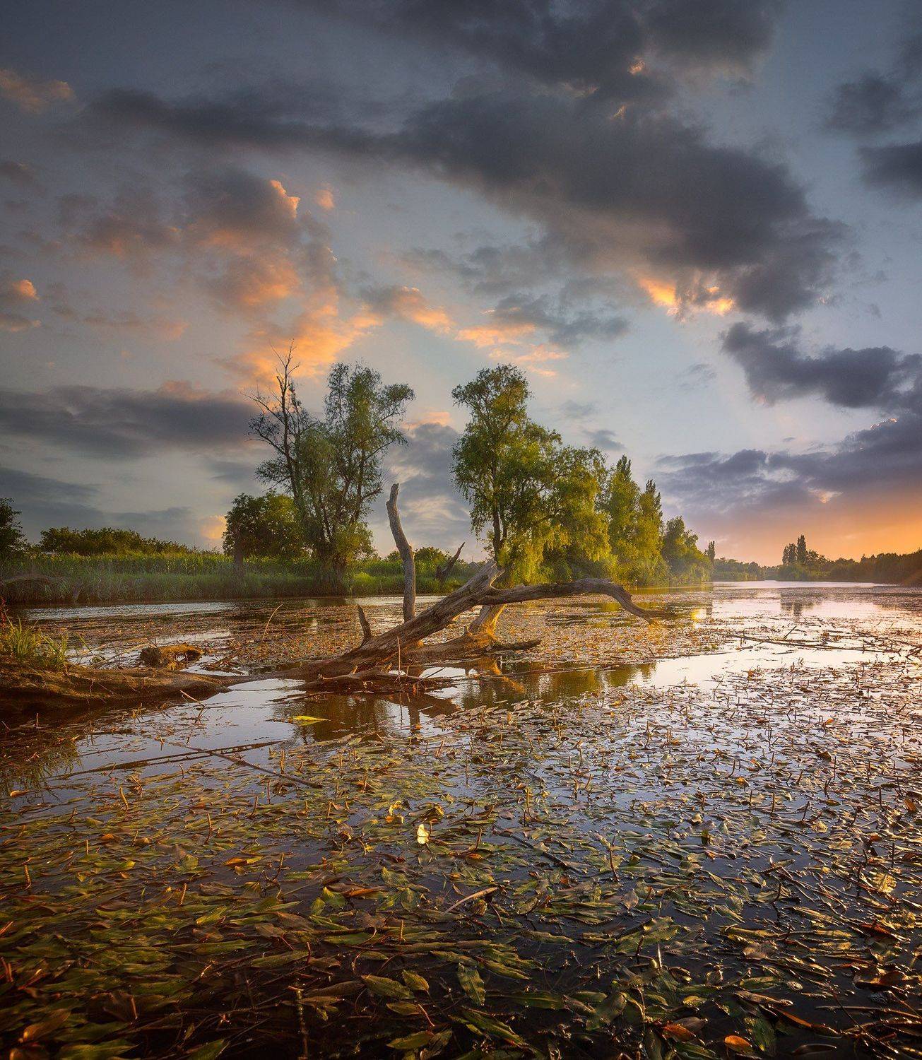 , Александр Костенко