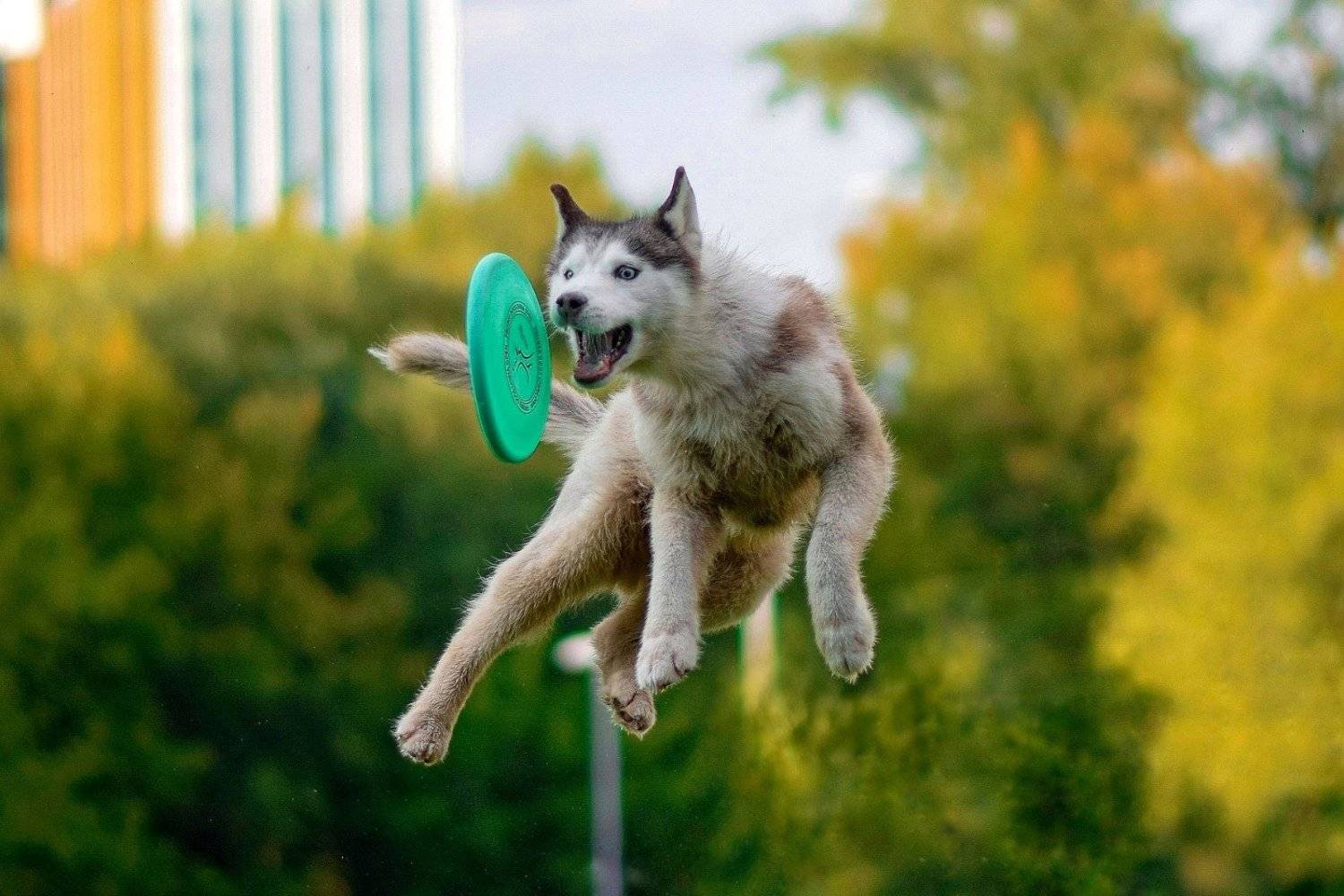 , Мария Яропольская