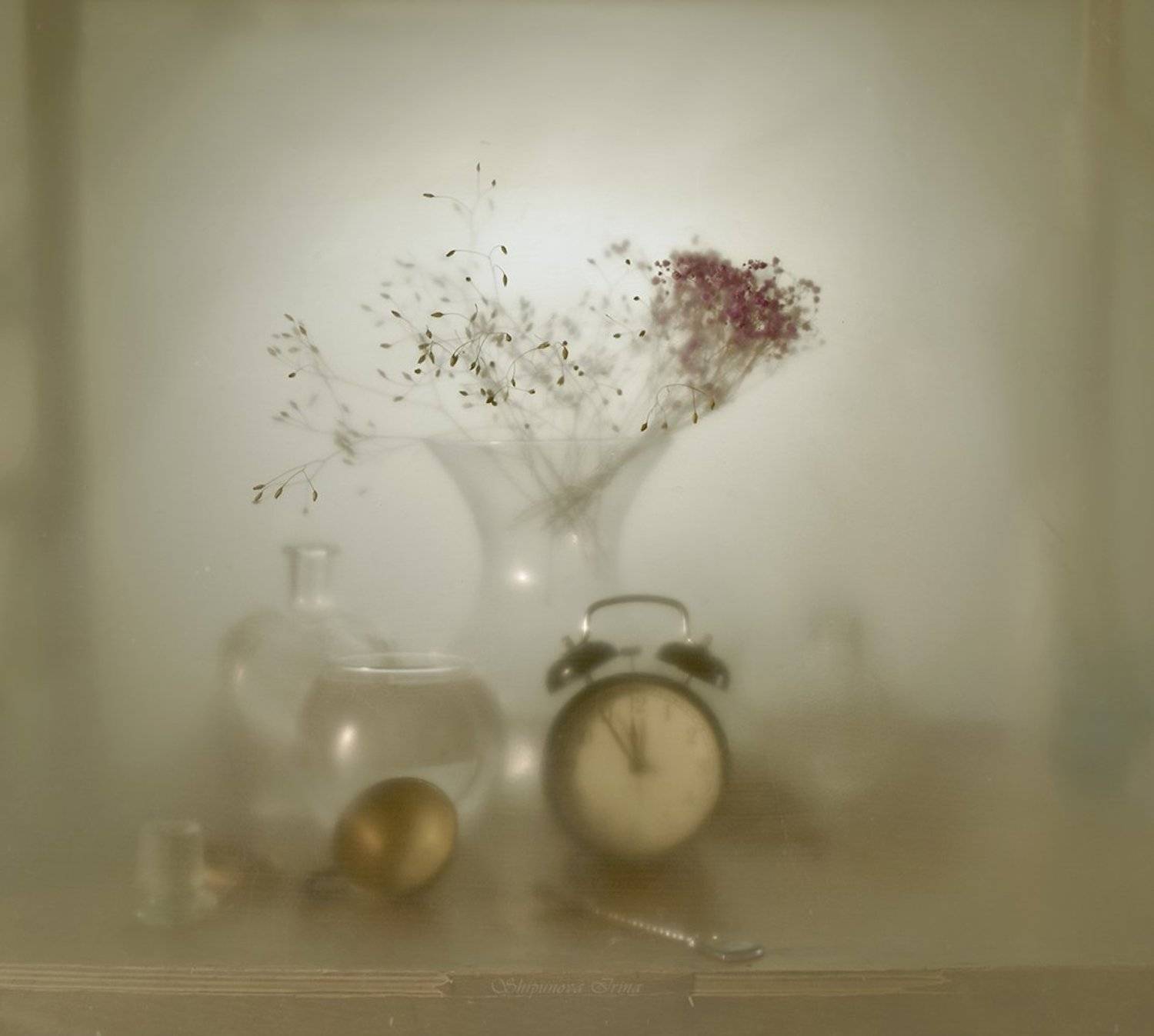 , Шипунова Ирина