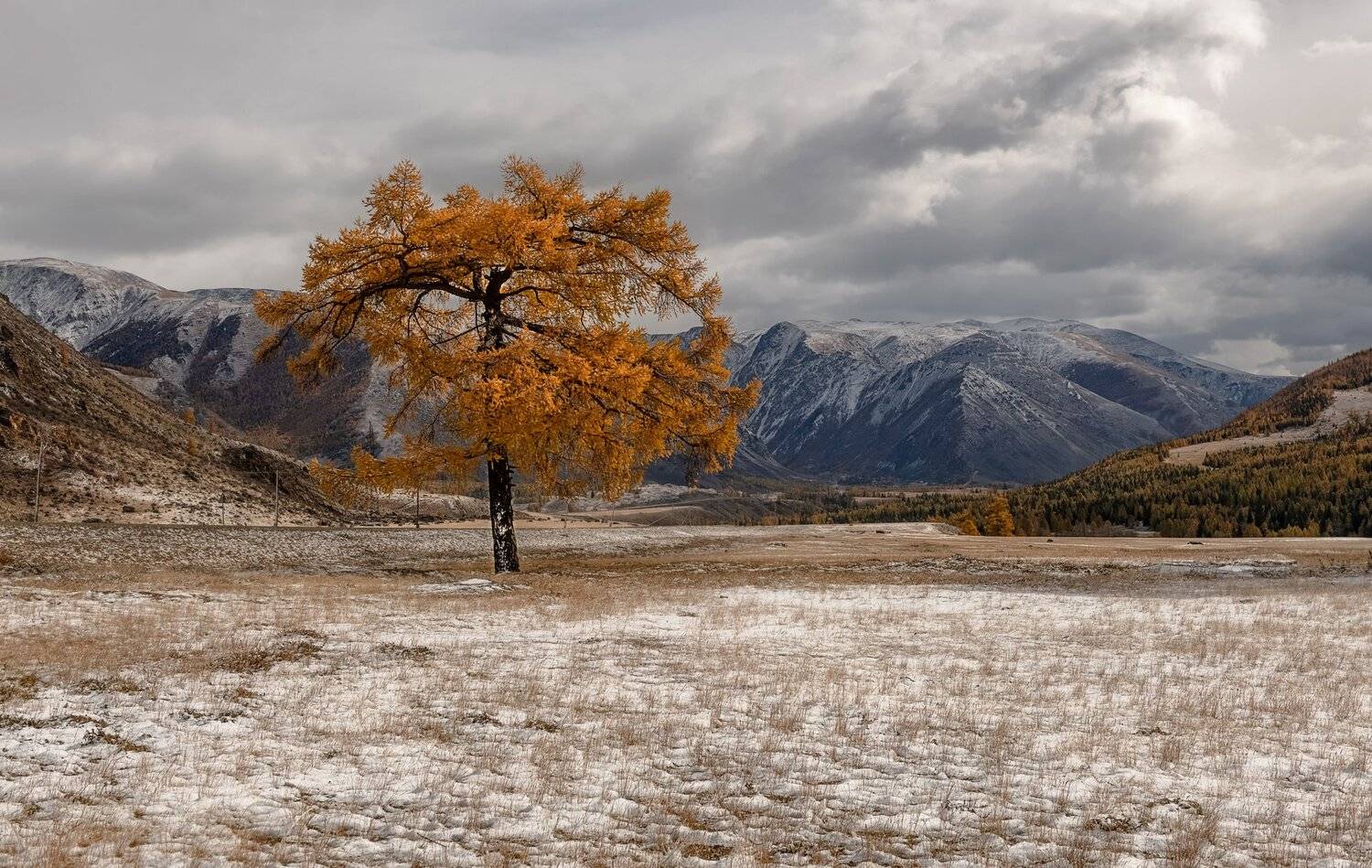 алтай.северо-чуйский хребет., сентябрь 2020, Марина Фомина