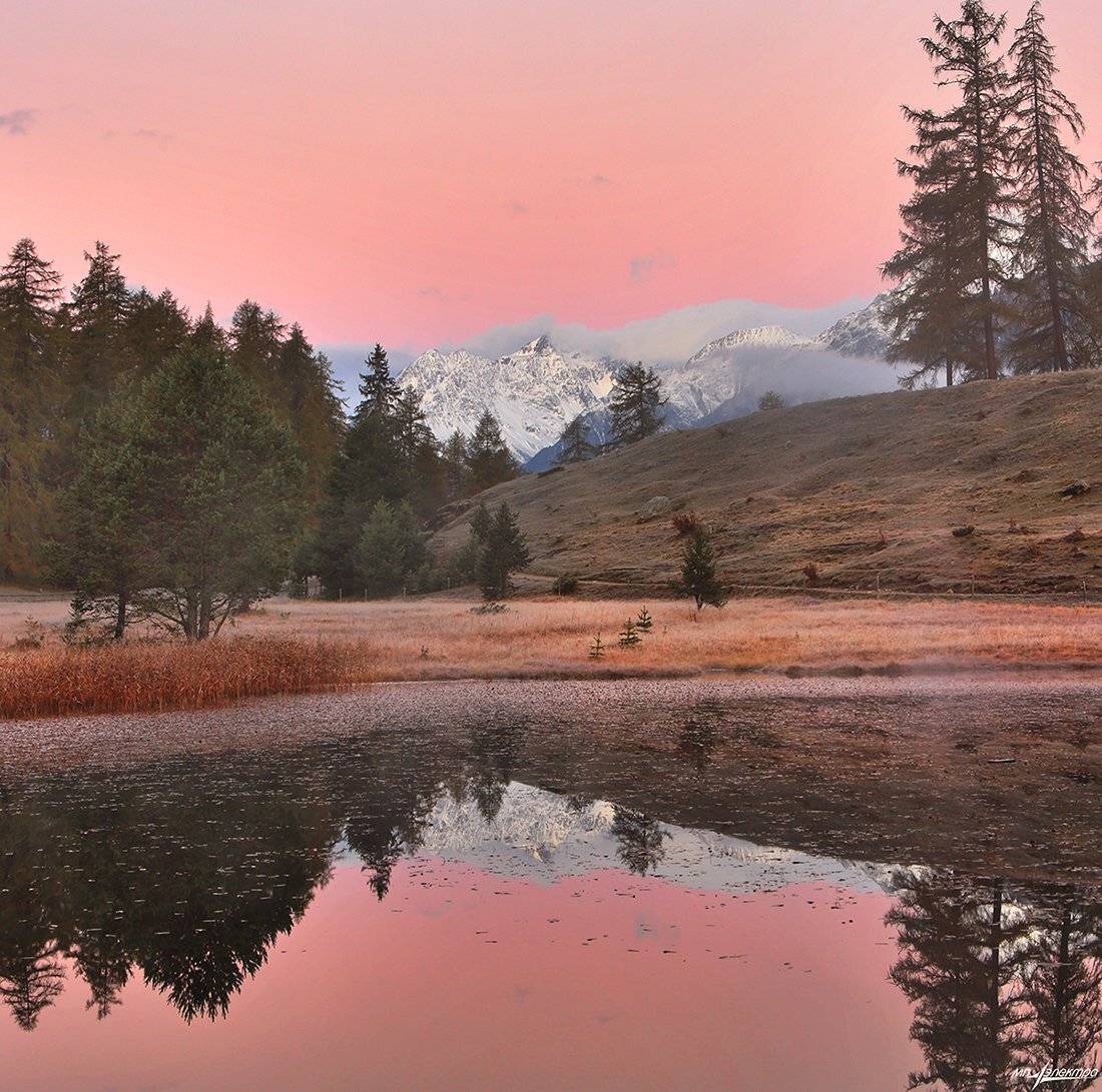 swiss, Матвеев Николай
