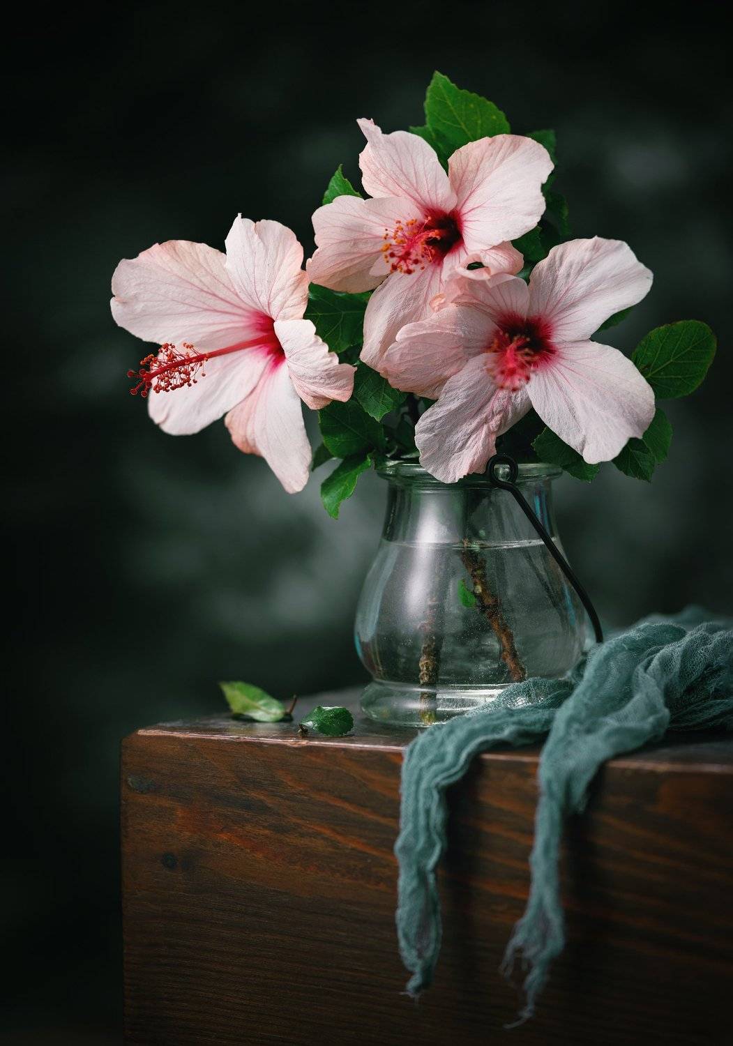 Цветочки на столе, Антон Серкин