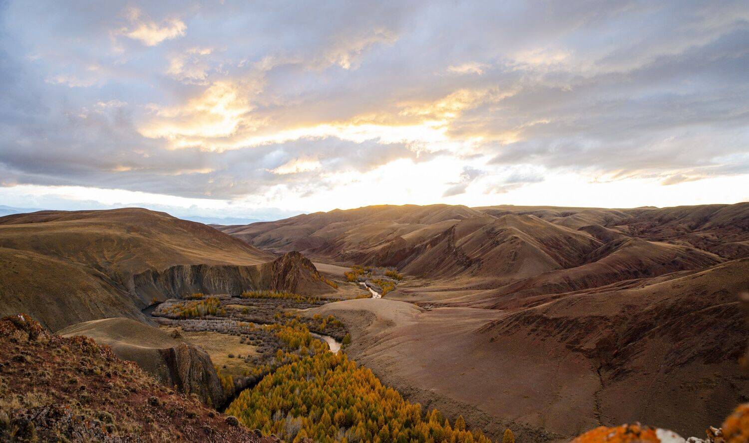 долина реки кызыл-шин ,урочище кокоря , кош - агачский район, горный алтай. сентябрь 2020, Ольга Лукахина