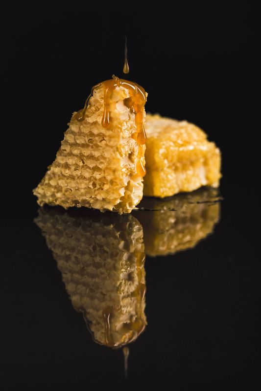 honey combs, food, мёд, еда Honey Combs фото превью
