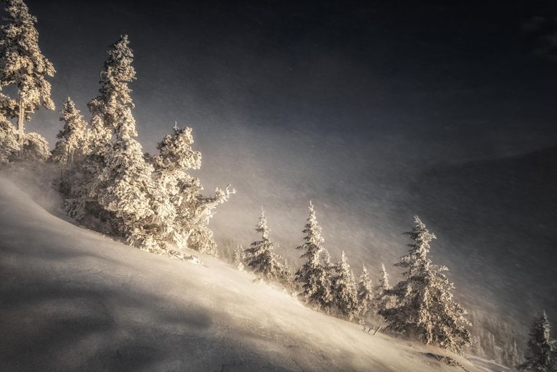 Уреньга фото превью