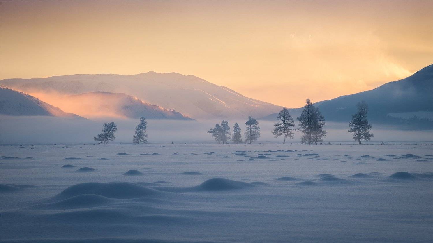 алтай, республика алтай, кош-агачский район, курайская степь, курай, зимний алтай, зима в горах, степь зимой, мороз, иней, туман, рассвет, зимнее утро, Алена Рубан