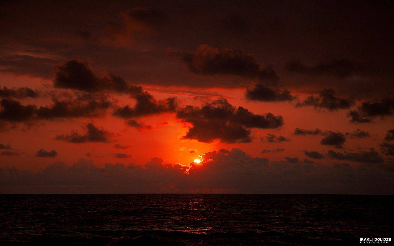 , ირაკლი დოლიძე