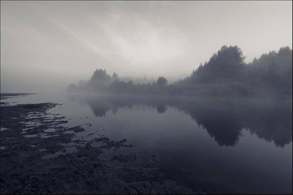 , Andrey Fedoseev