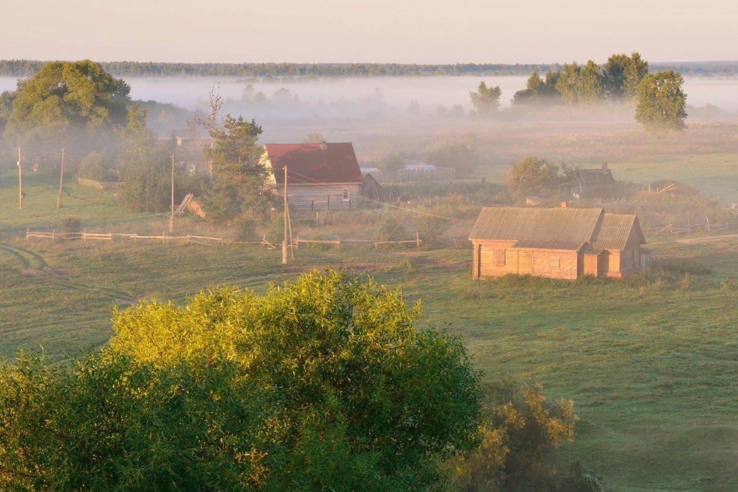 , Максим Евдокимов