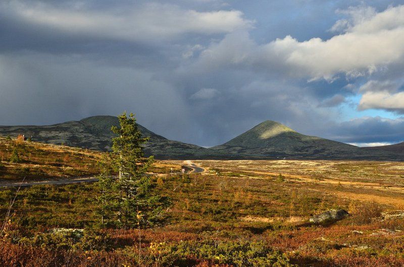 норвегия, осень Тёплый осенний вечер фото превью