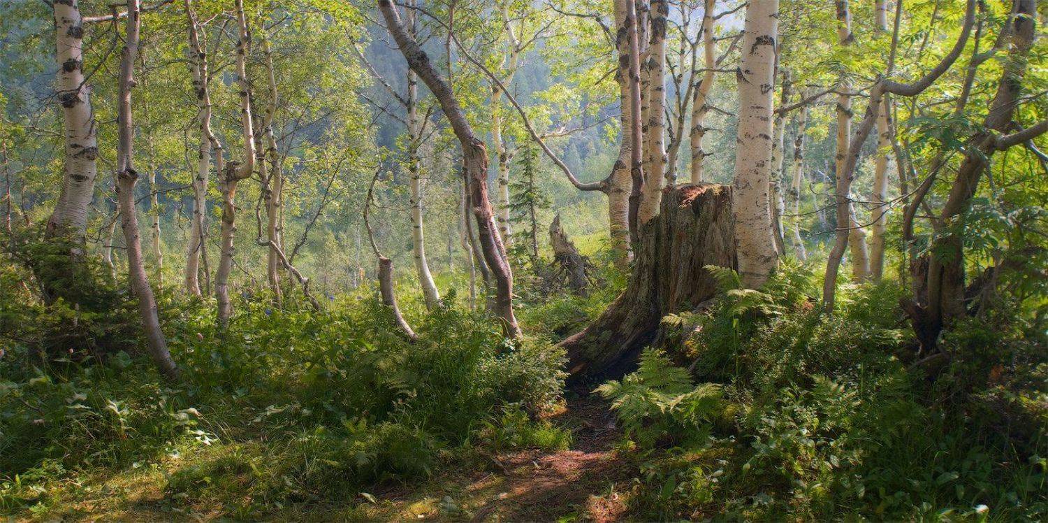 , Дмитрий Алексеев