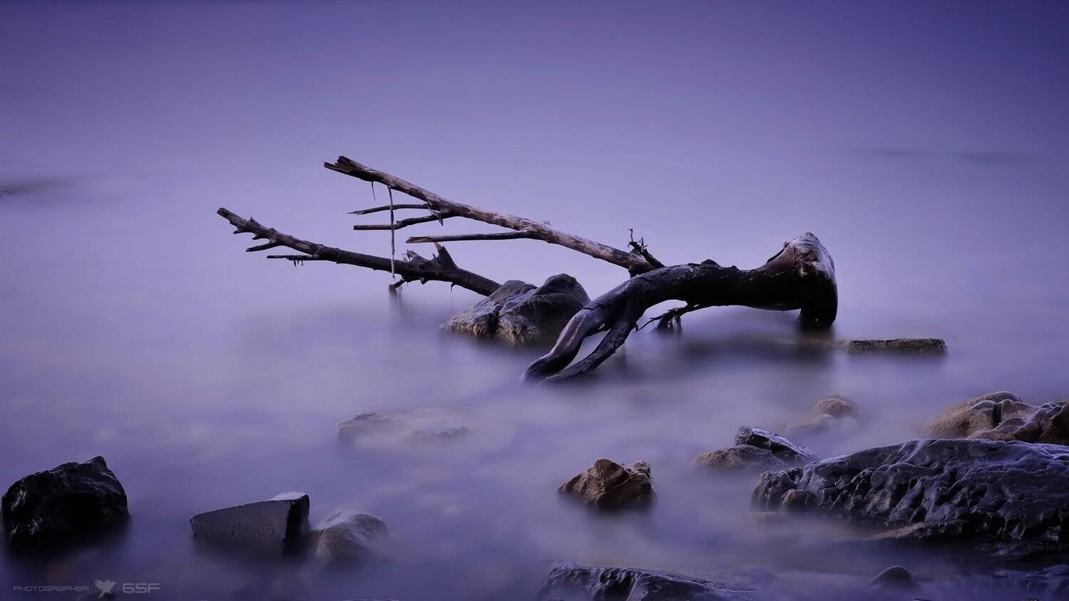 море, вода, коряга, сумерки, Serj Master