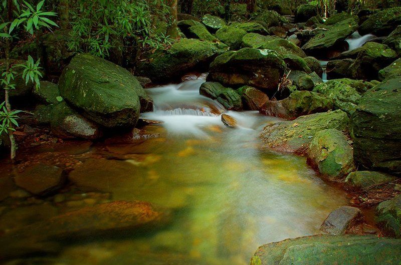 Tranh stream, Phu Quoc island, Vietnam фото превью