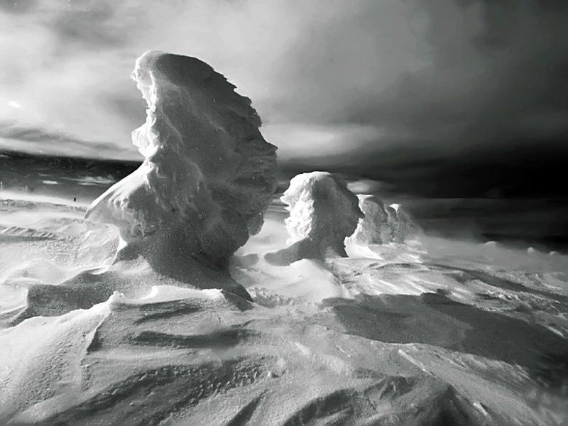 Winter Portraits фото превью