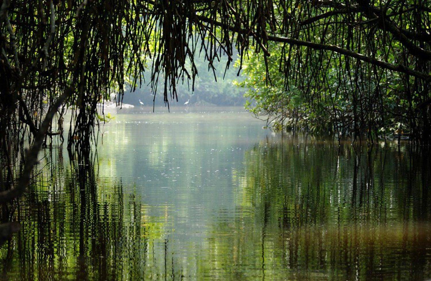 , Евгений Варнавский