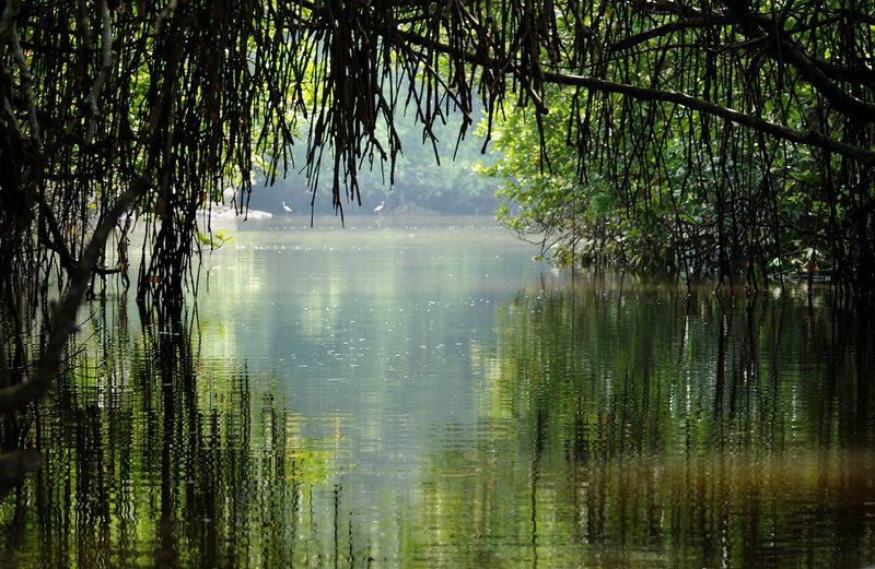 Выход фото превью