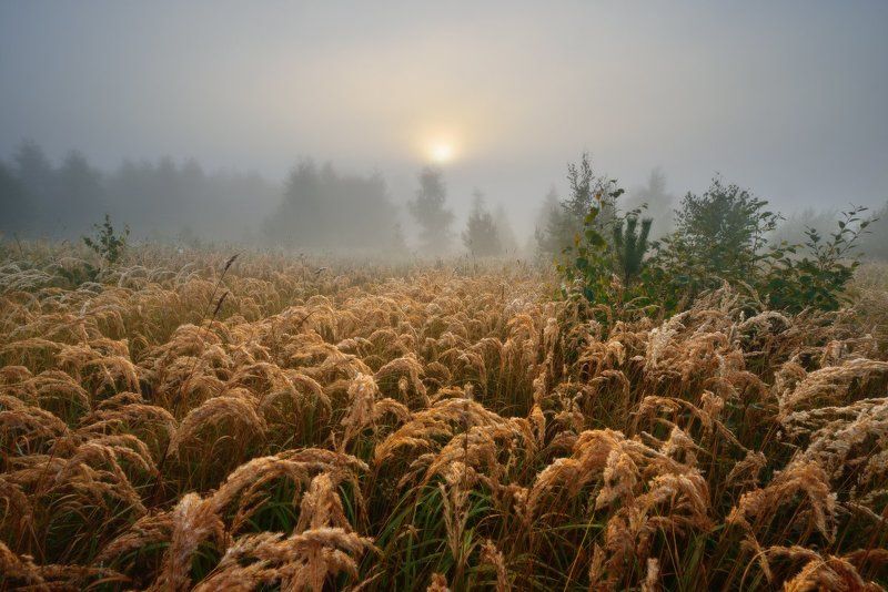 Вашутино *** фото превью